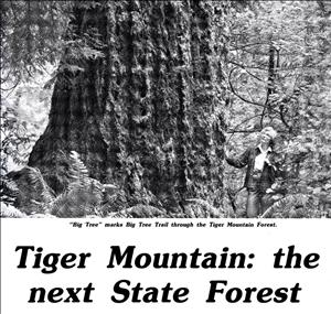 Newspaper clipping shows a woman with her hand on a very large tree. Headline says Tiger Mountain the Next State Forest. 
